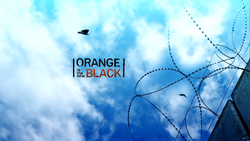 the series philosopher Orange Is the New Black wiki